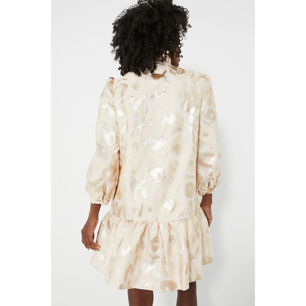 TUCKERNUCK Champagne Fil Coupe Palmerston Dress NWT Size Large - Picture 4 of 9